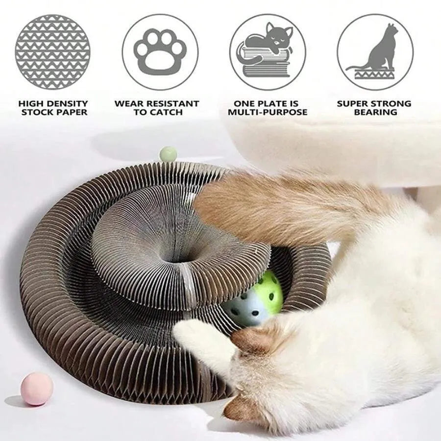 🐾 Cat Magic Organ Scratcher Toy – Interactive Foldable Cat Playhouse🐾