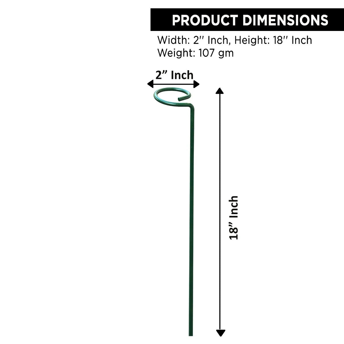 EverGro Plant Holders – Strong & Long-Lasting Support for Healthy Growth