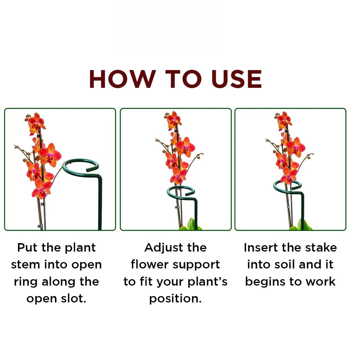 EverGro Plant Holders – Strong & Long-Lasting Support for Healthy Growth