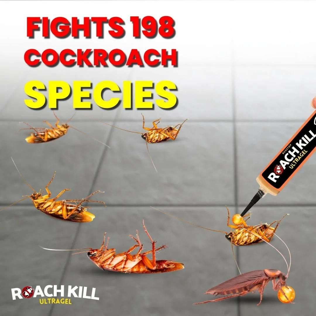 Roach Kill Ultragel Pack of 2 - Home DeQcoR