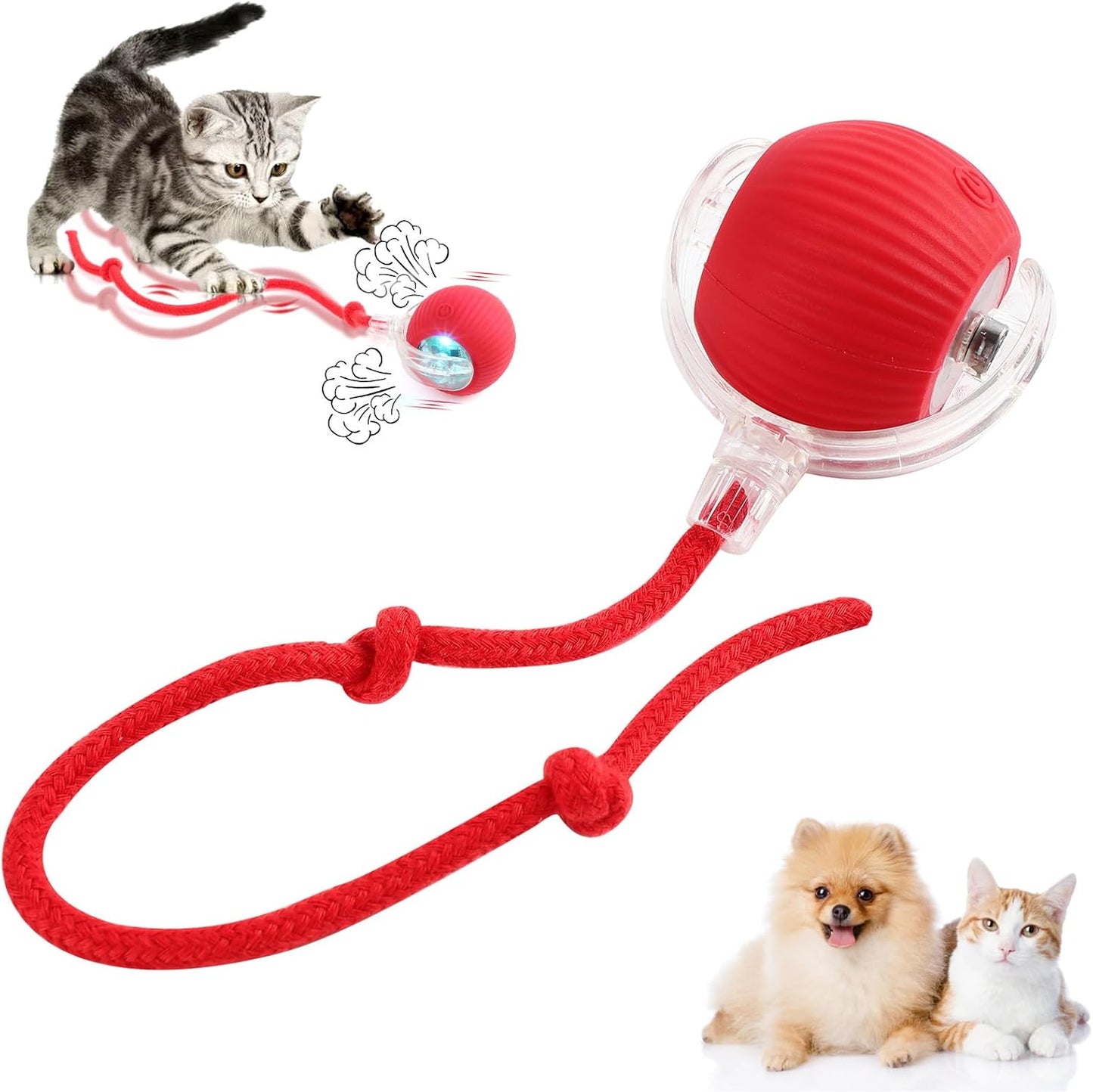 Interactive Pet Toy Ball – Endless Fun and Exercise for Your Furry Friend!