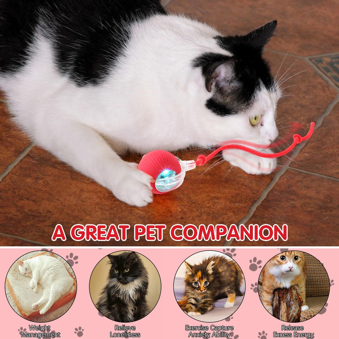 Interactive Pet Toy Ball – Endless Fun and Exercise for Your Furry Friend!