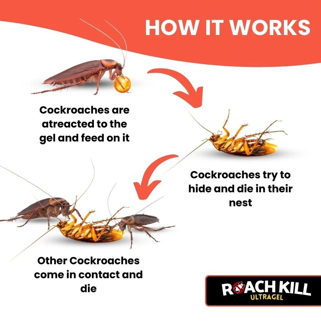 Roach Kill Ultragel Pack of 2 - Home DeQcoR
