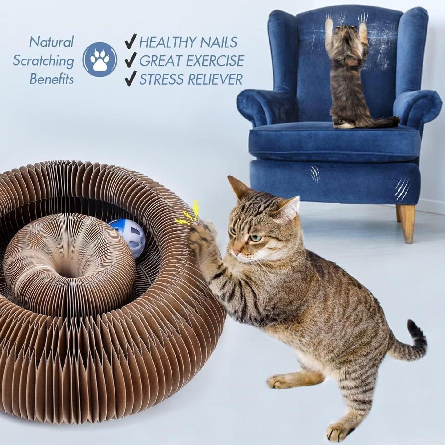 🐾 Cat Magic Organ Scratcher Toy – Interactive Foldable Cat Playhouse🐾