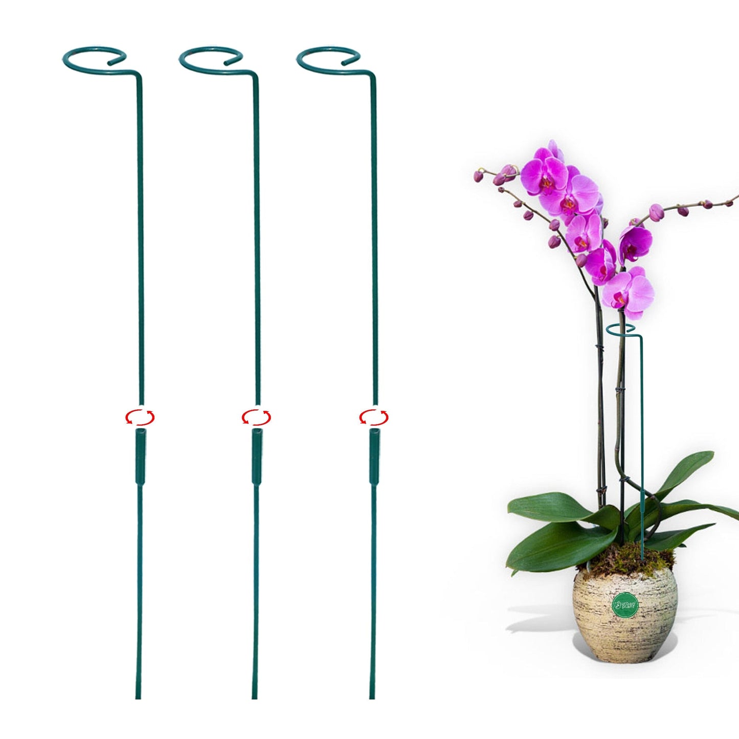 EverGro Plant Holders – Strong & Long-Lasting Support for Healthy Growth