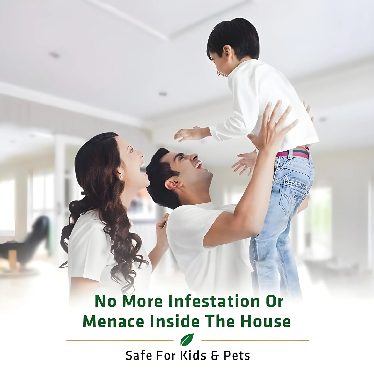 Termite Killer Spray – Effective Action, effective Protection