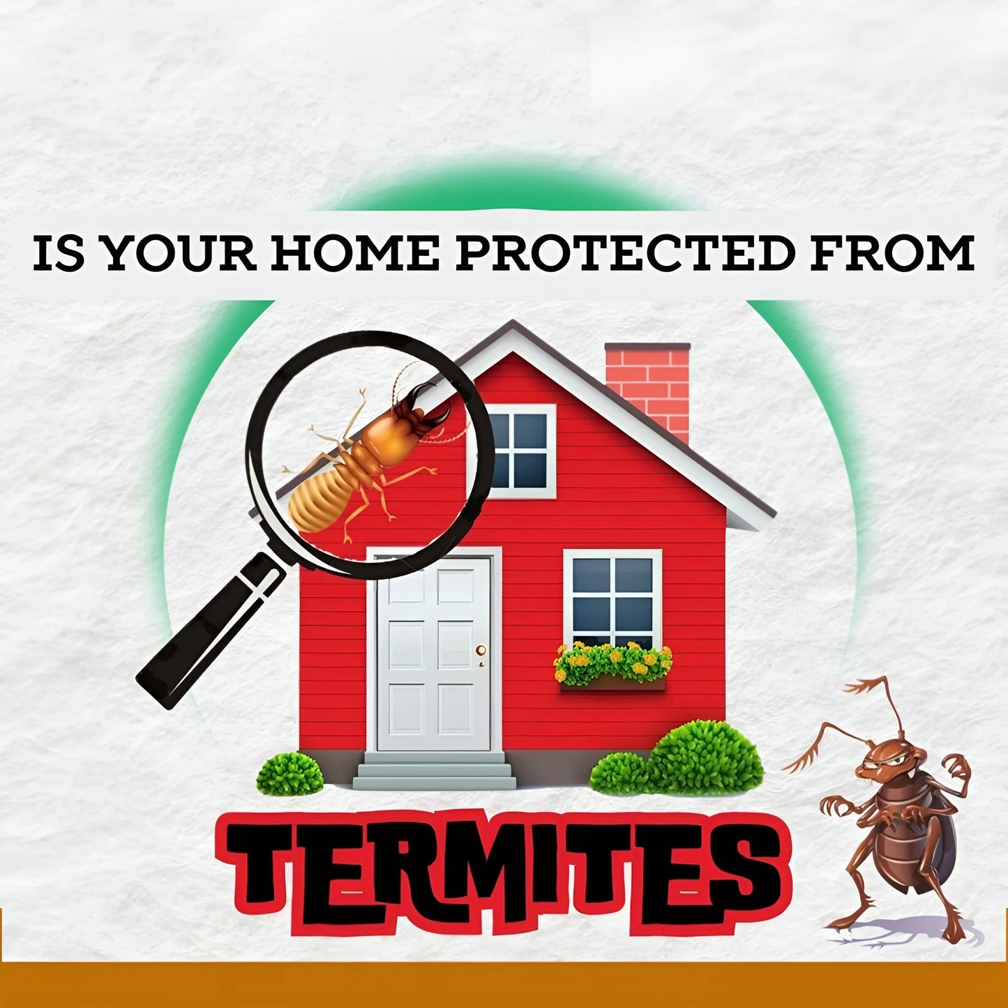 Termite Killer Spray – Effective Action, effective Protection