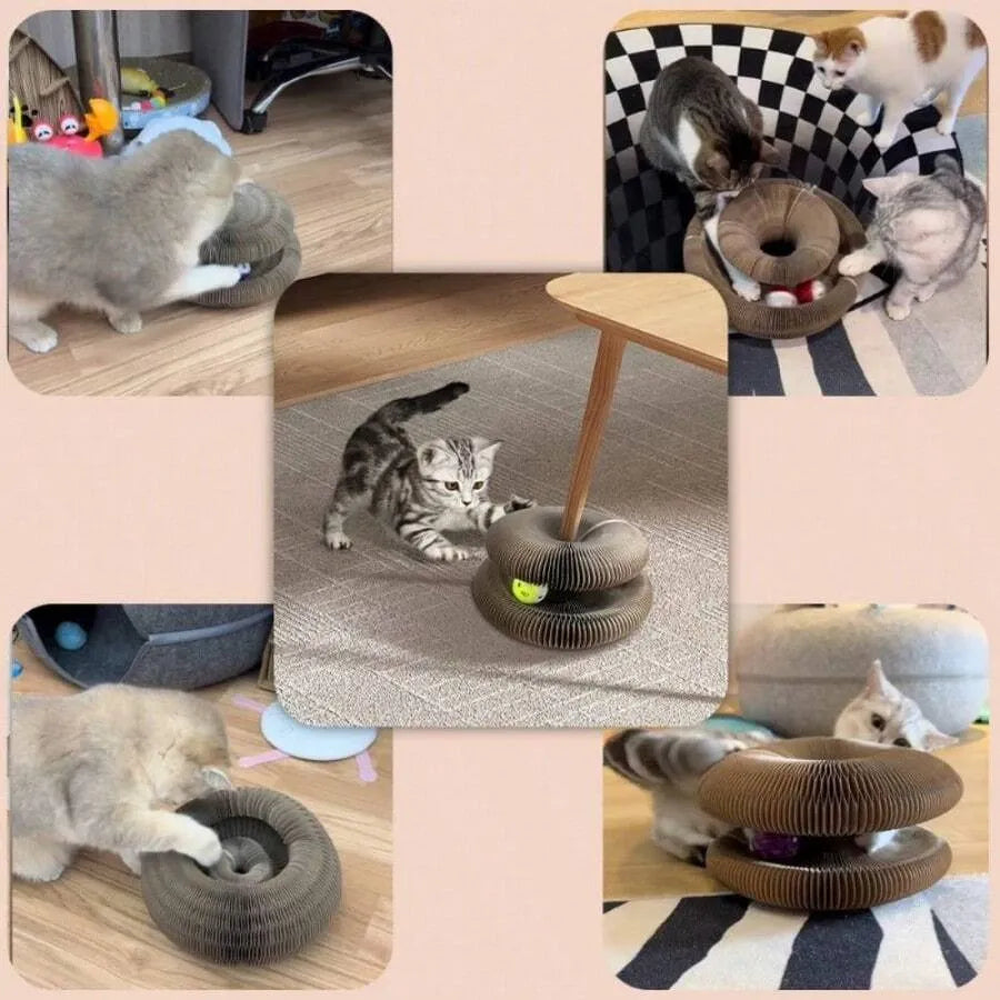 🐾 Cat Magic Organ Scratcher Toy – Interactive Foldable Cat Playhouse🐾