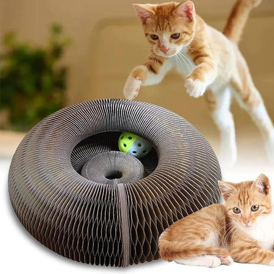 🐾 Cat Magic Organ Scratcher Toy – Interactive Foldable Cat Playhouse🐾