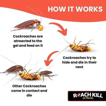 Roach Kill Ultragel Pack of 2 - Home DeQcoR