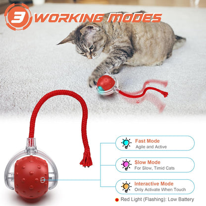 Interactive Pet Toy Ball – Endless Fun and Exercise for Your Furry Friend!