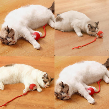 Interactive Pet Toy Ball – Endless Fun and Exercise for Your Furry Friend!