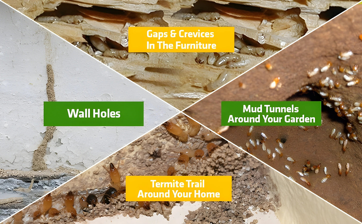 Termite Killer Spray – Effective Action, effective Protection