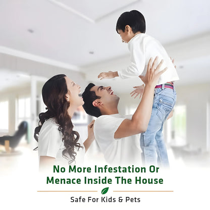 Termite Killer Spray – Effective Action, effective Protection